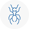 Ant Removals In Bow