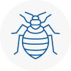 Bed Bug Extermination In Bow