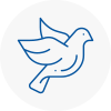 Bird Prevention Bow