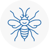 Bow Hornet Nest Removals