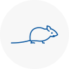 Mice Exterminators In Bow