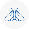 Moth Control Specialists In Bow
