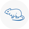 Rat Control Bow