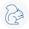 Bow Rodent Removals