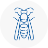 Bow Wasp Nest Removal